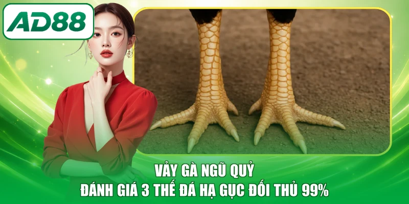 Vảy gà ngũ quỷ